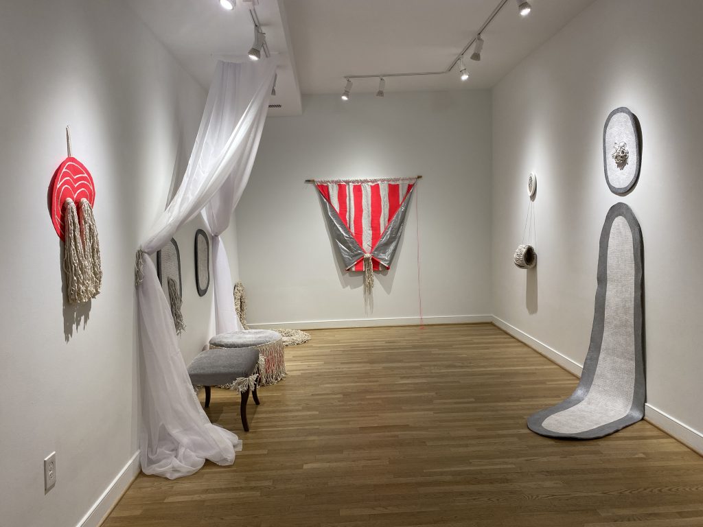 Fem-utility Closet installation at IA+A Hillyer.