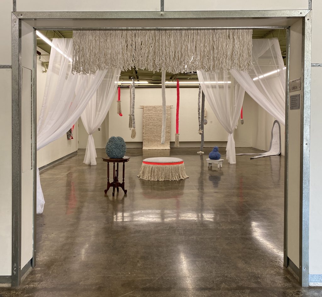 Fem-utility Closet: Louise installation at LHUCA.